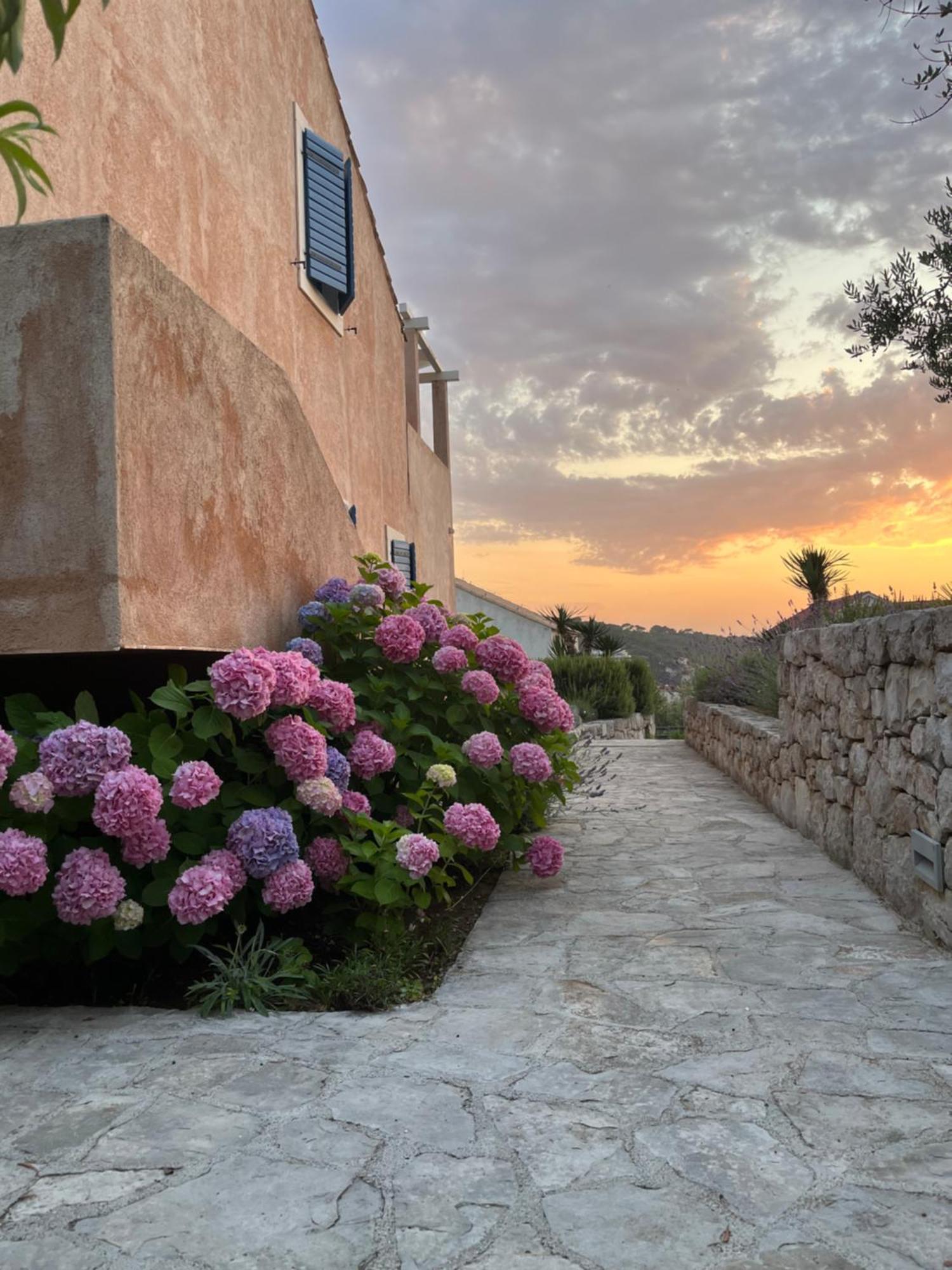 Villa Authentica Lopud, Dubrovnik Bagian luar foto