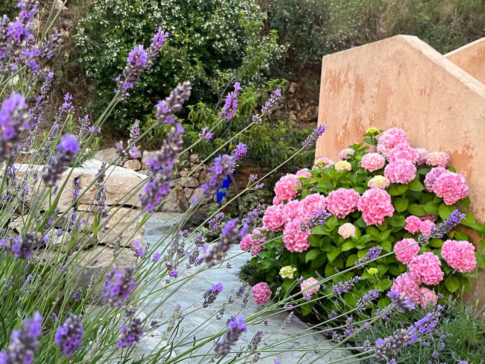Villa Authentica Lopud, Dubrovnik Bagian luar foto